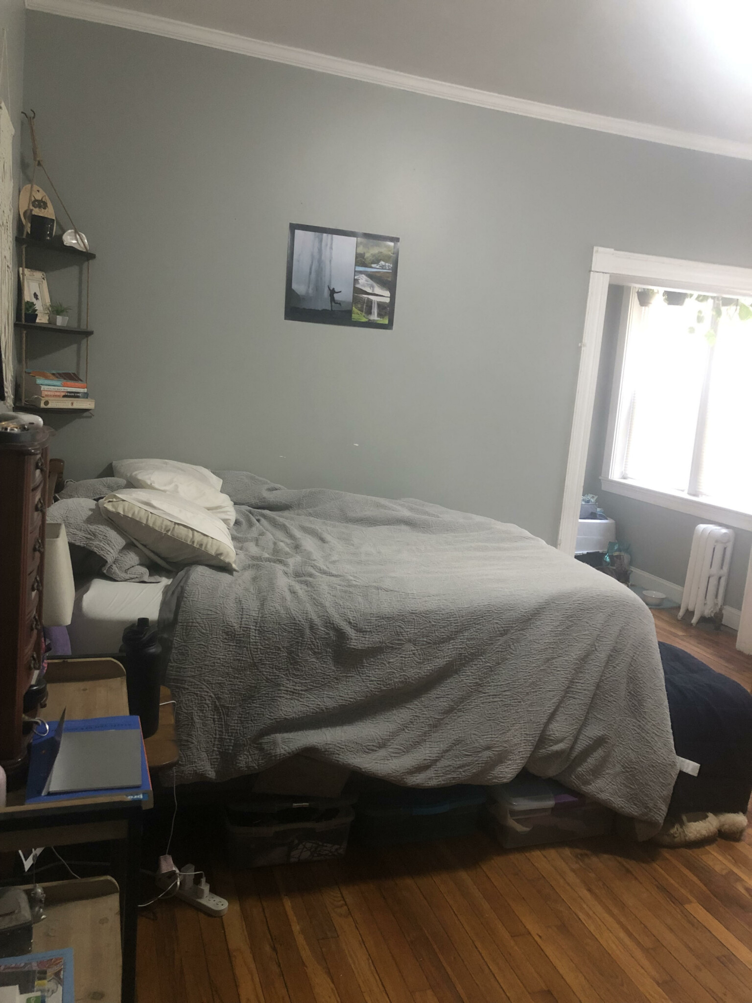 Studio bed, 1 bath apartment for rent at 1637 Commonwealth Ave Unit 5, Brighton — photo 9 of 18