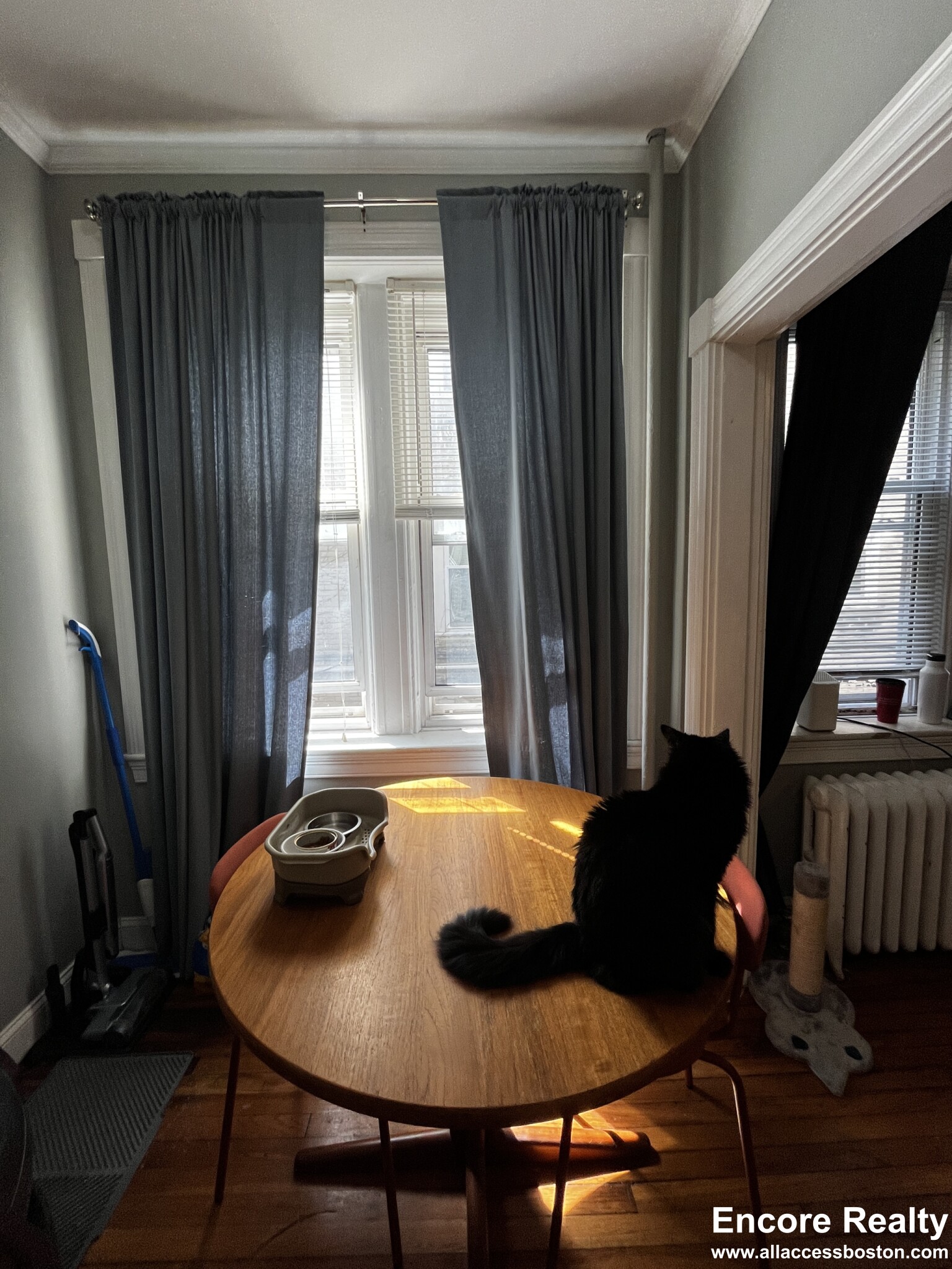 Studio bed, 1 bath apartment for rent at 1637 Commonwealth Ave Unit 5, Brighton — photo 5 of 18