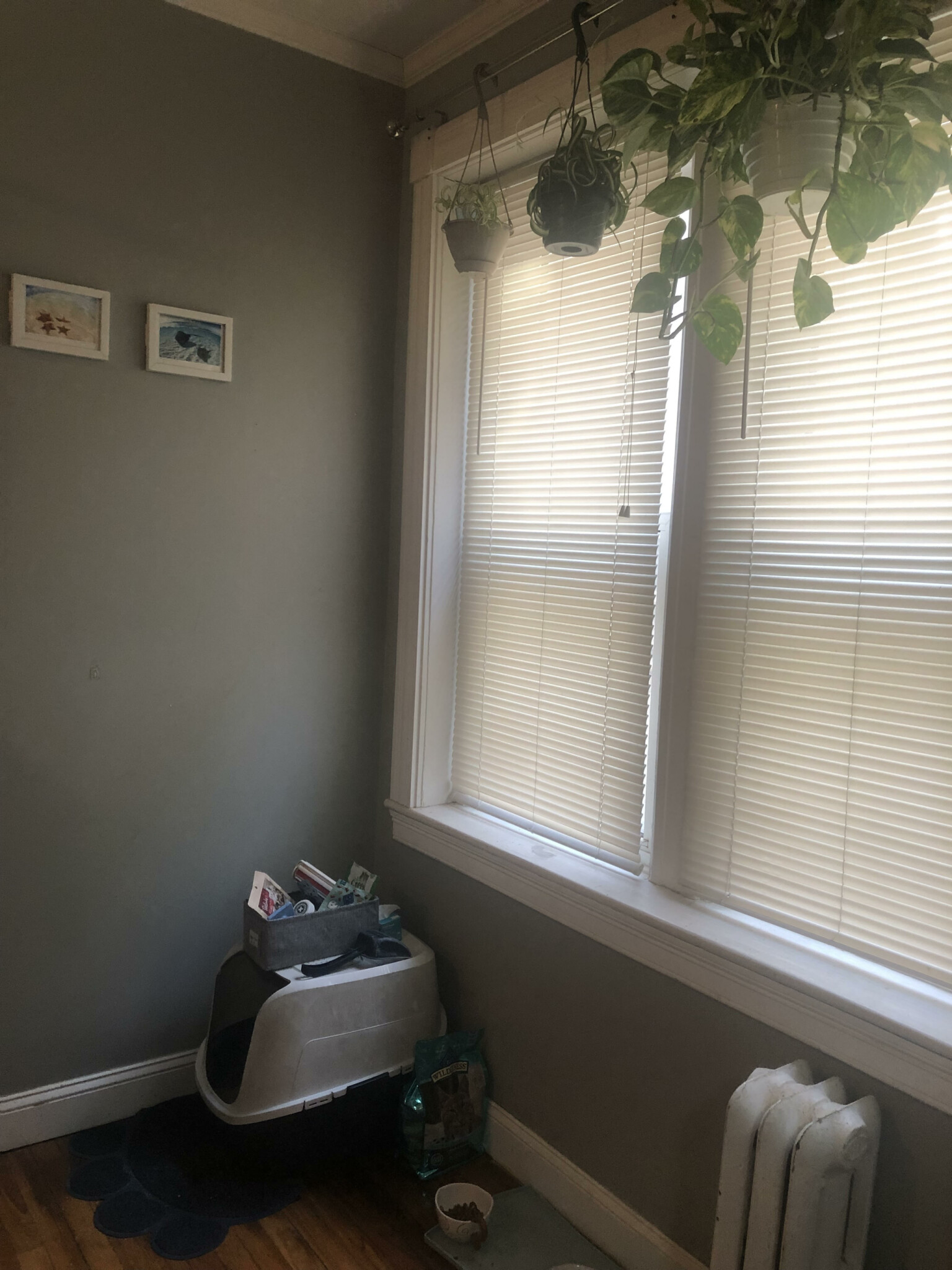 Studio bed, 1 bath apartment for rent at 1637 Commonwealth Ave Unit 5, Brighton — photo 12 of 18