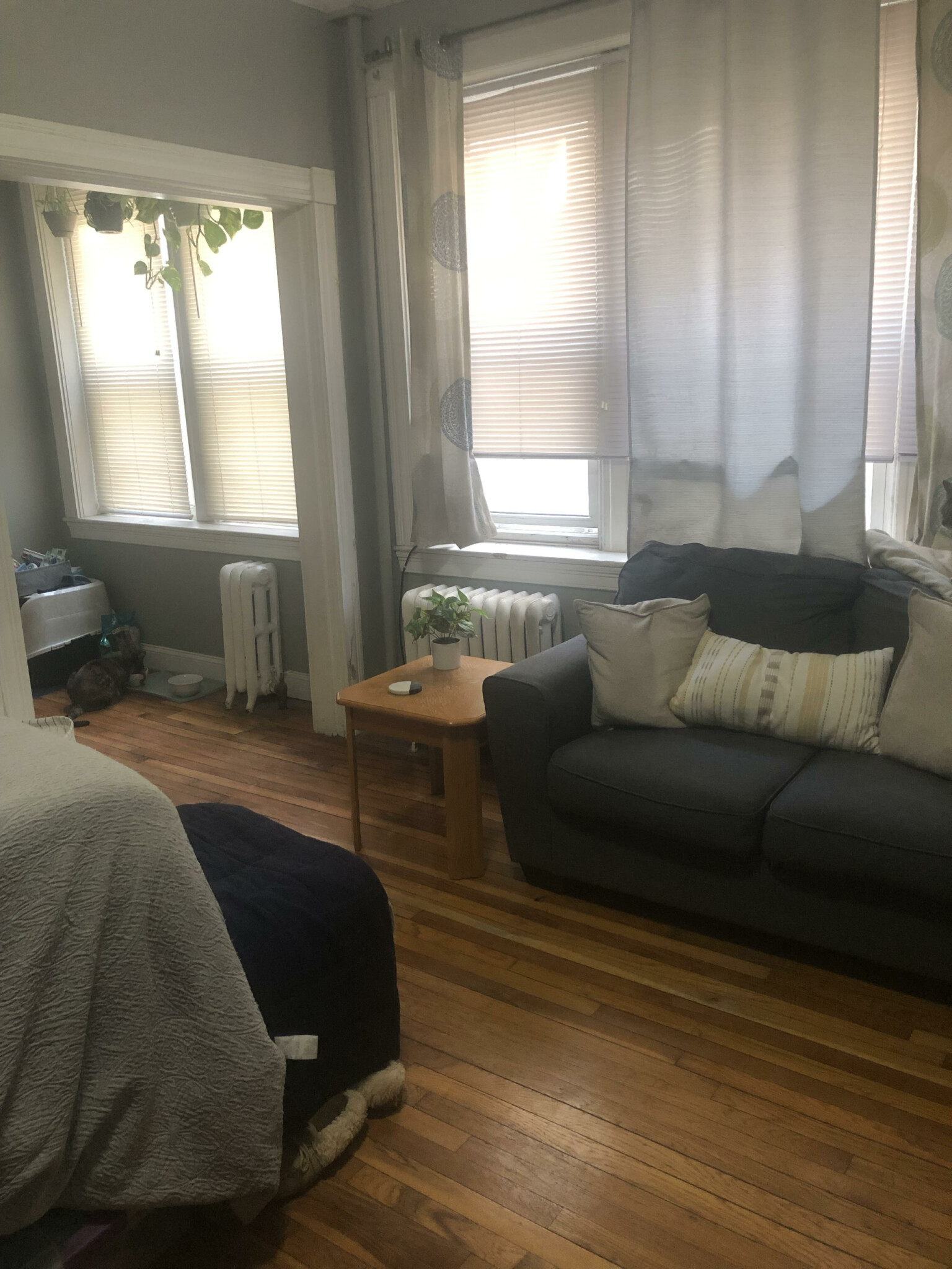 Studio bed, 1 bath apartment for rent at 1637 Commonwealth Ave Unit 5, Brighton — photo 10 of 18