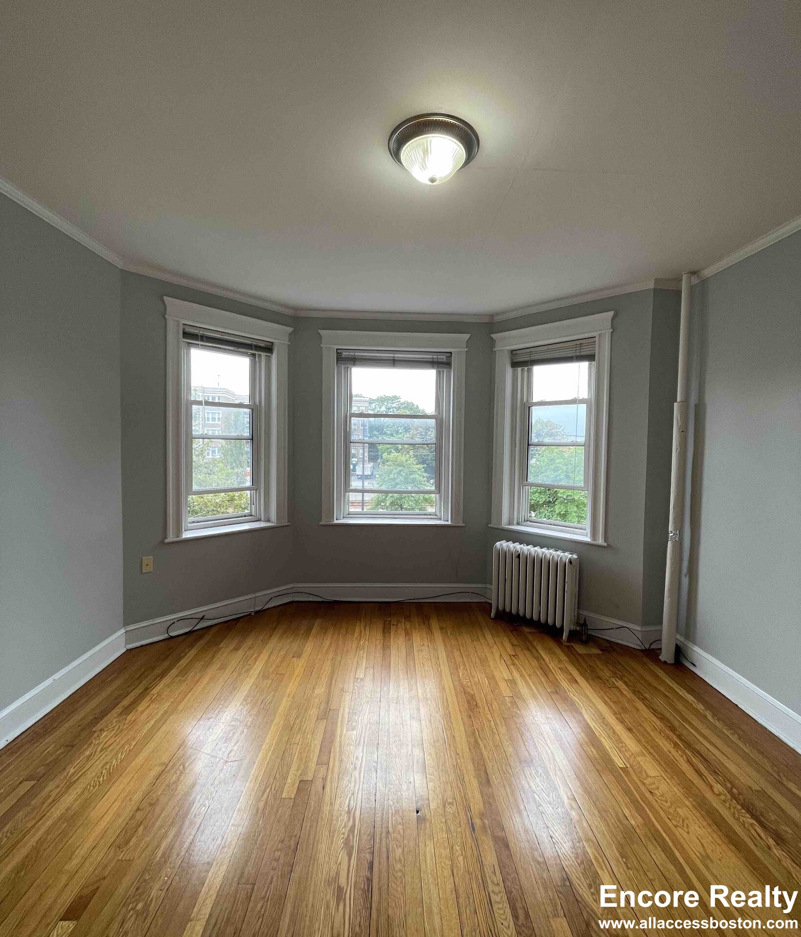1 bed, 1 bath apartment for rent at 1637 Commonwealth Ave Unit 8, Brighton — photo 1 of 8
