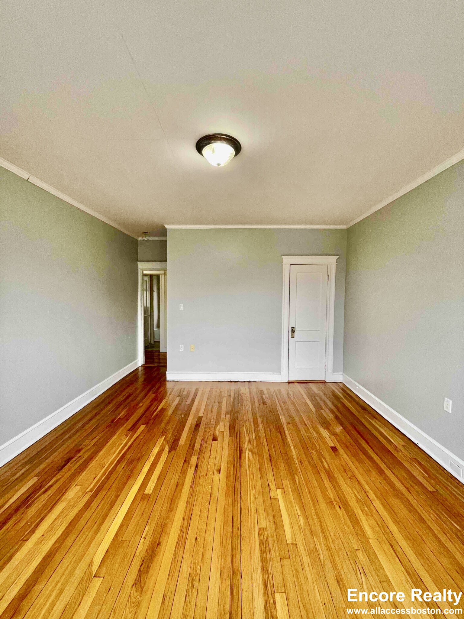 1 bed, 1 bath apartment for rent at 1637 Commonwealth Ave Unit 8, Brighton — photo 2 of 8