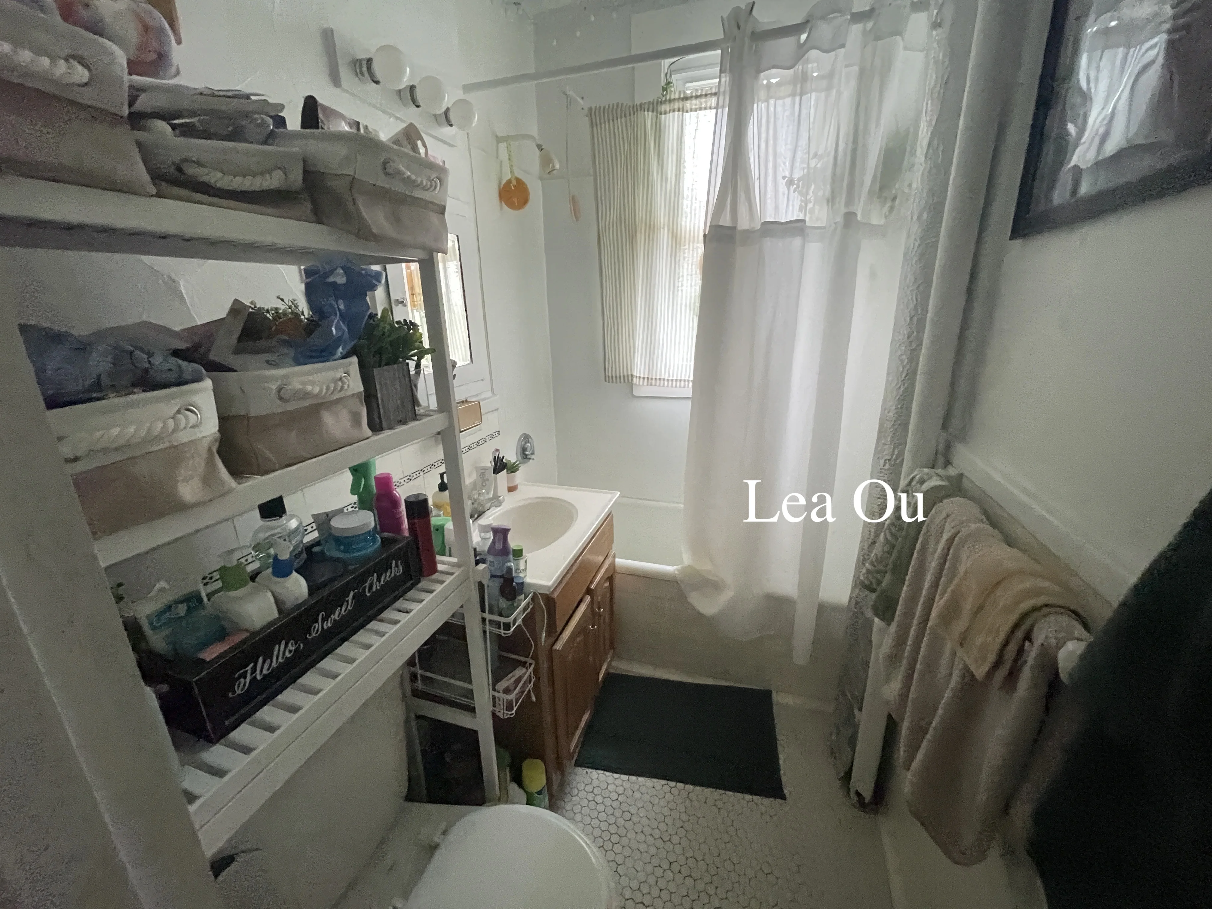 1 bed, 1 bath apartment for rent at 1638 Commonwealth Ave Unit 14, Brighton — photo 13 of 17
