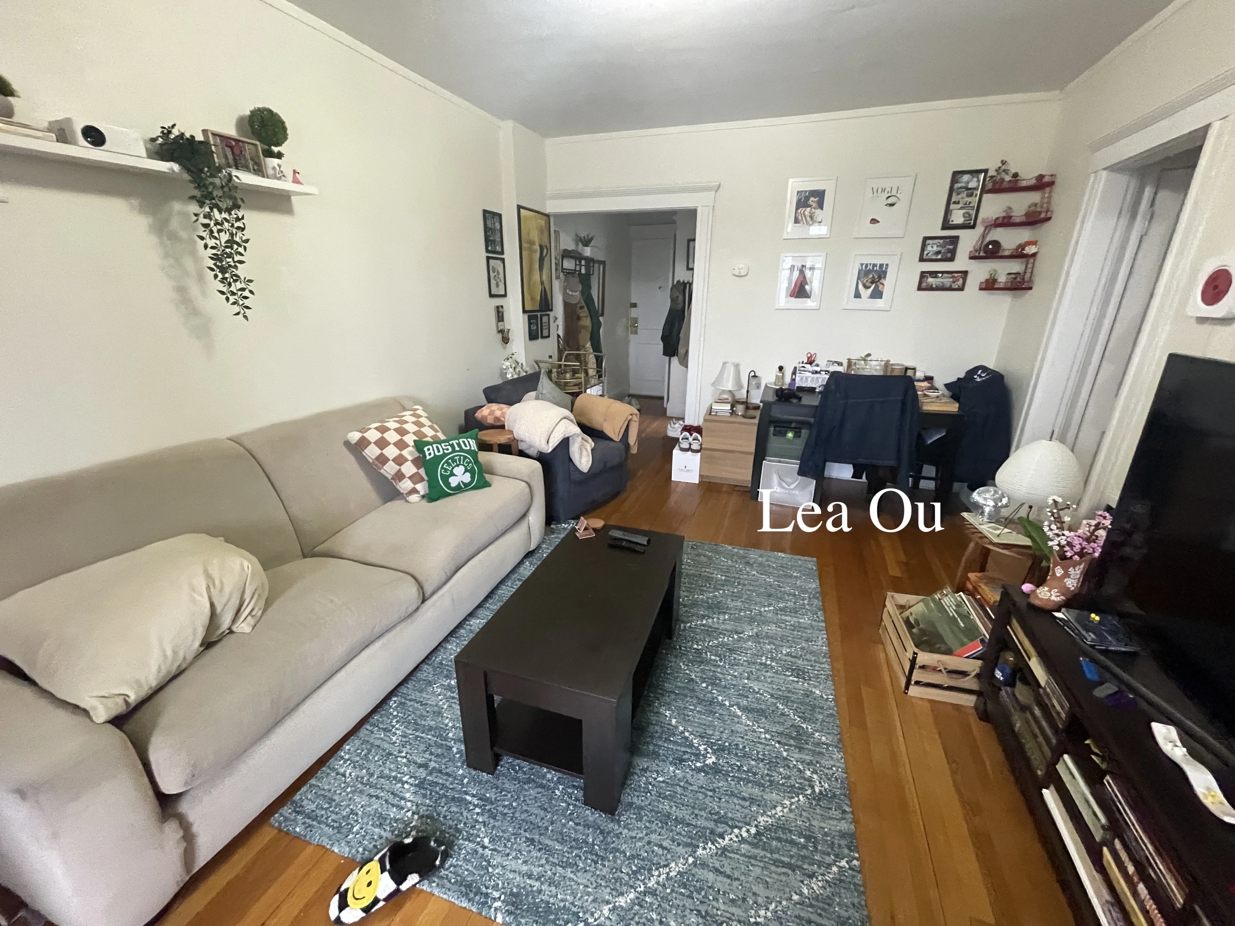 1 bed, 1 bath apartment for rent at 1638 Commonwealth Ave Unit 14, Brighton — photo 4 of 17