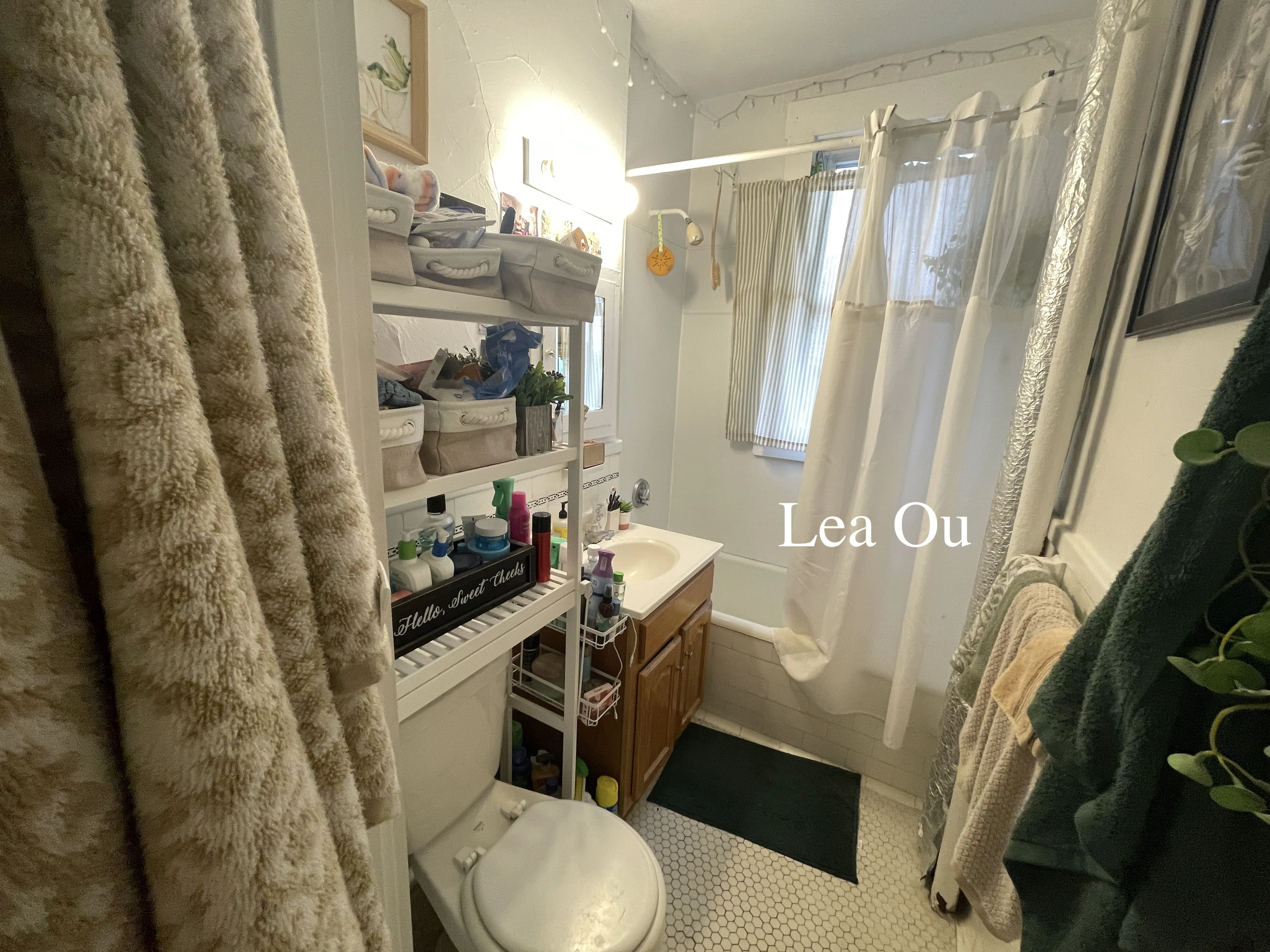1 bed, 1 bath apartment for rent at 1638 Commonwealth Ave Unit 14, Brighton — photo 14 of 17