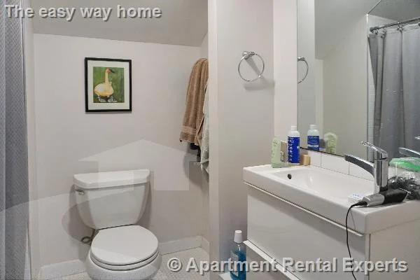4 bed, 2 bath apartment for rent at 164 Broadway Unit 3, East Somerville — photo 10 of 11