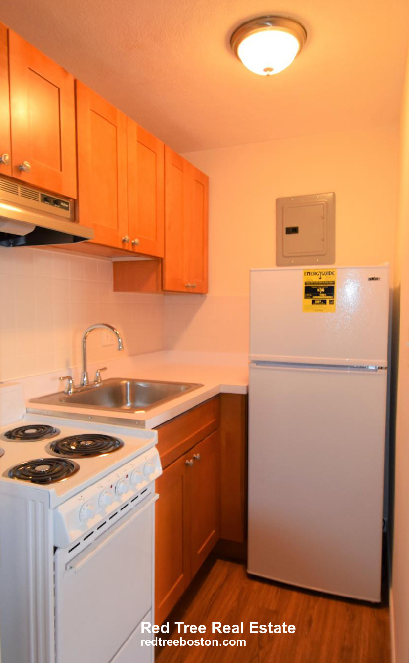 1 bed, 1 bath apartment for rent at 164 North Beacon St Unit 12, Brighton — photo 6 of 11