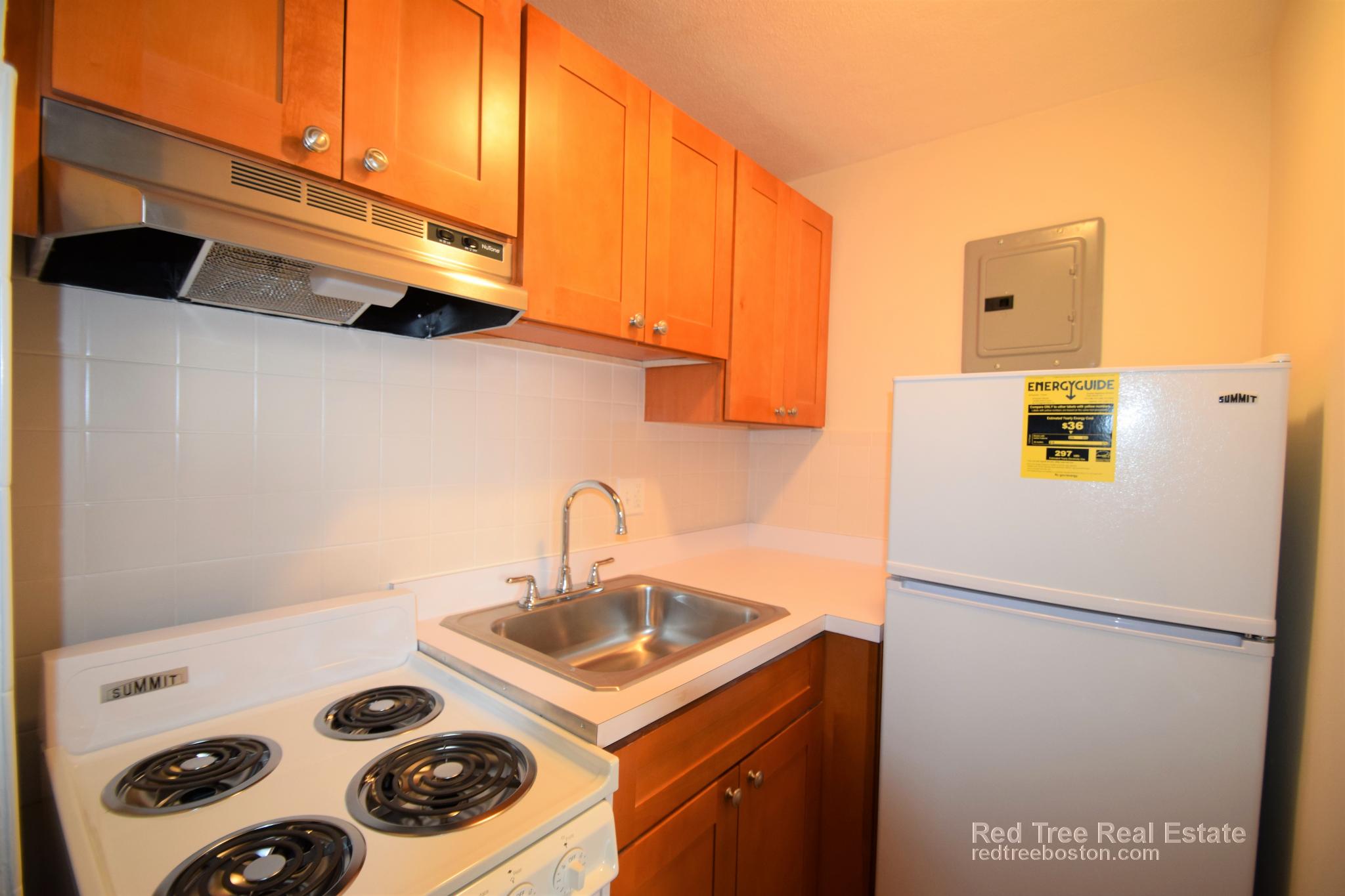 1 bed, 1 bath apartment for rent at 164 North Beacon St Unit 12, Brighton — photo 2 of 11