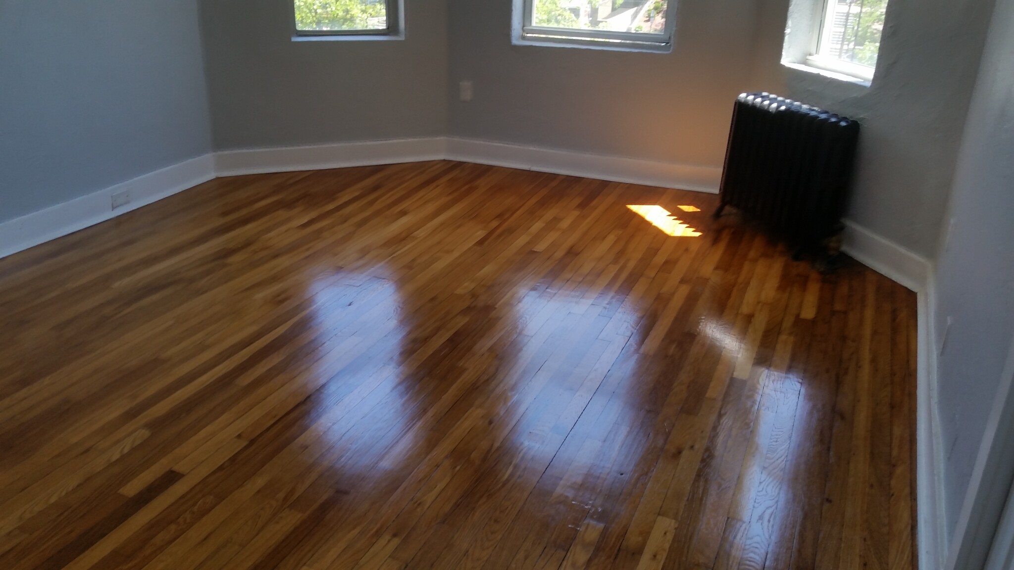 1 bed, 1 bath apartment for rent at 1641 Commonwealth Ave Unit 12, Brighton — photo 2 of 10