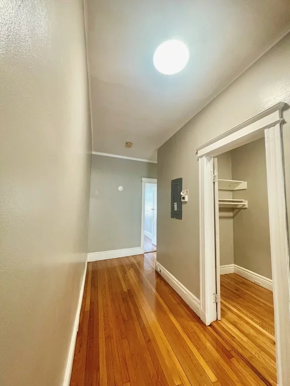 4 bed, 1 bath apartment for rent at 1653 Commonwealth Ave Unit 3, Brighton — photo 7 of 16