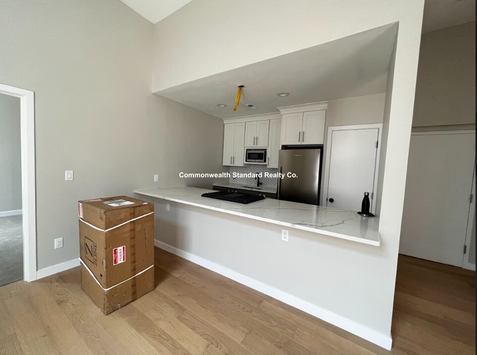 2 bed, 1 bath apartment for rent at 1661 Washington St Unit 306, South End — photo 4 of 19