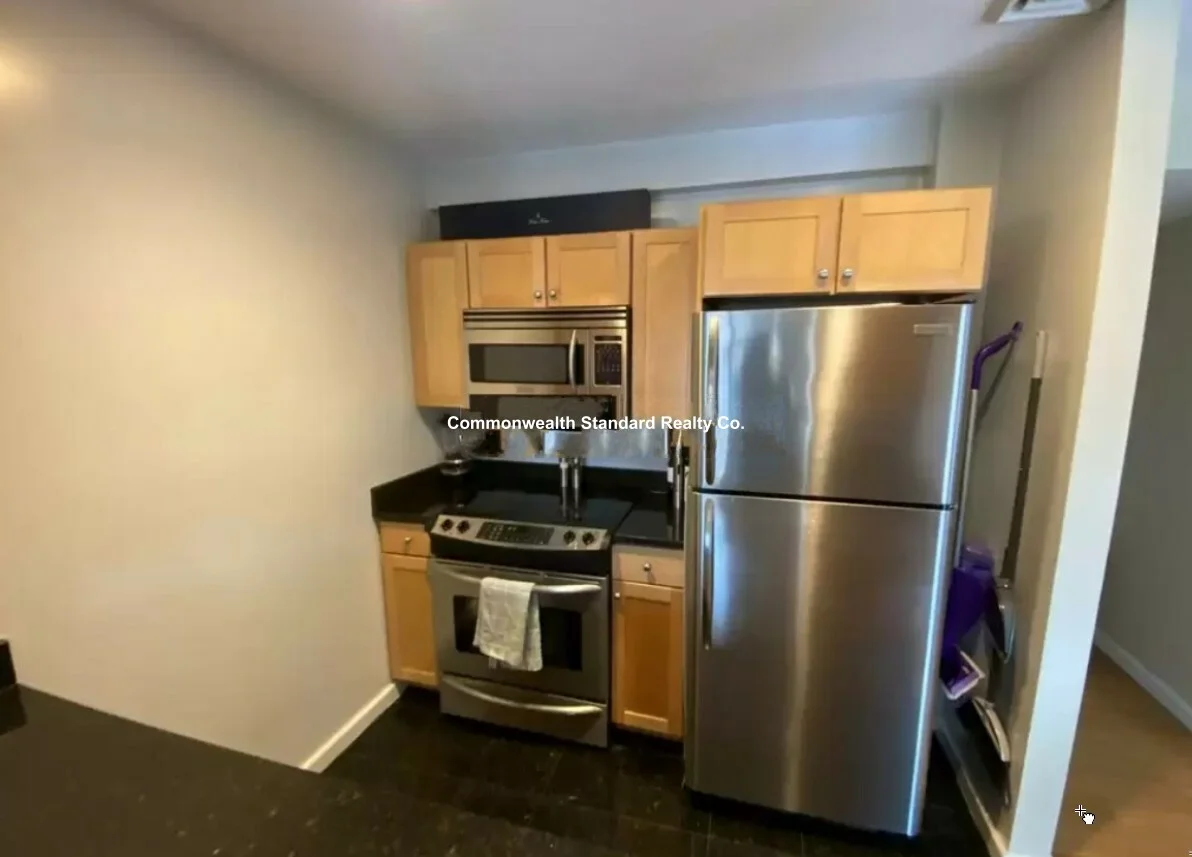 1 bed, 1 bath apartment for rent at 1661 Washington St Unit 502, South End — photo 2 of 20