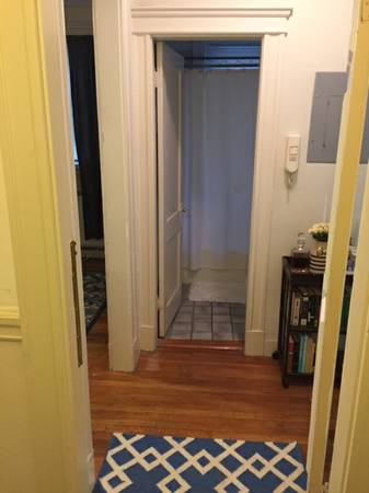 Studio bed, 1 bath apartment for rent at 1669 Commonwealth Ave Unit 2C, Brighton — photo 2 of 6