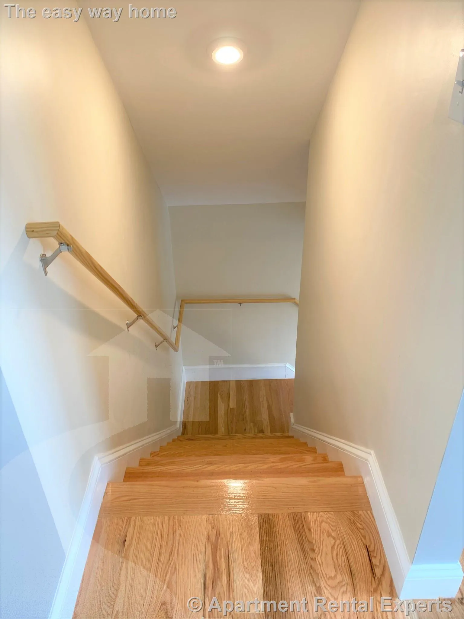1 bed, 1 bath apartment for rent at 167 Harvard St Unit 3, Tufts — photo 5 of 15