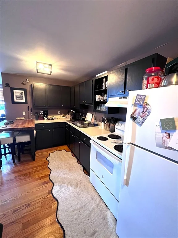1 bed, 1 bath apartment for rent at 167 M Unit 1F, South Boston — photo 3 of 6