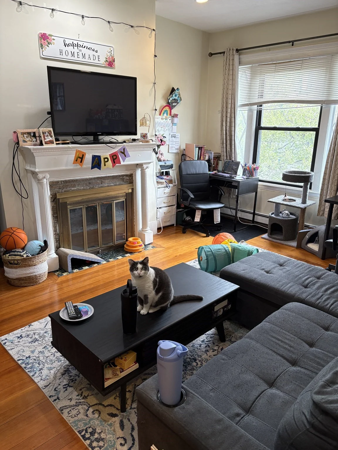 1 bed, 1 bath apartment for rent at 1672 Beacon St Unit 3B, Washington Square — photo 2 of 5