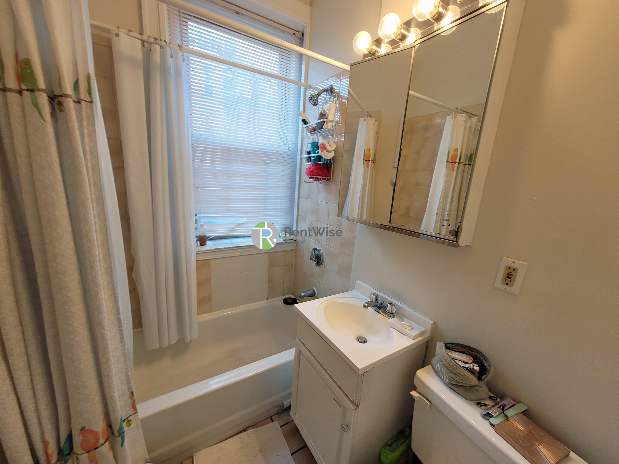1 bed, 1 bath apartment for rent at 1677 Commonwealth Ave Unit 2, Brighton — photo 3 of 10