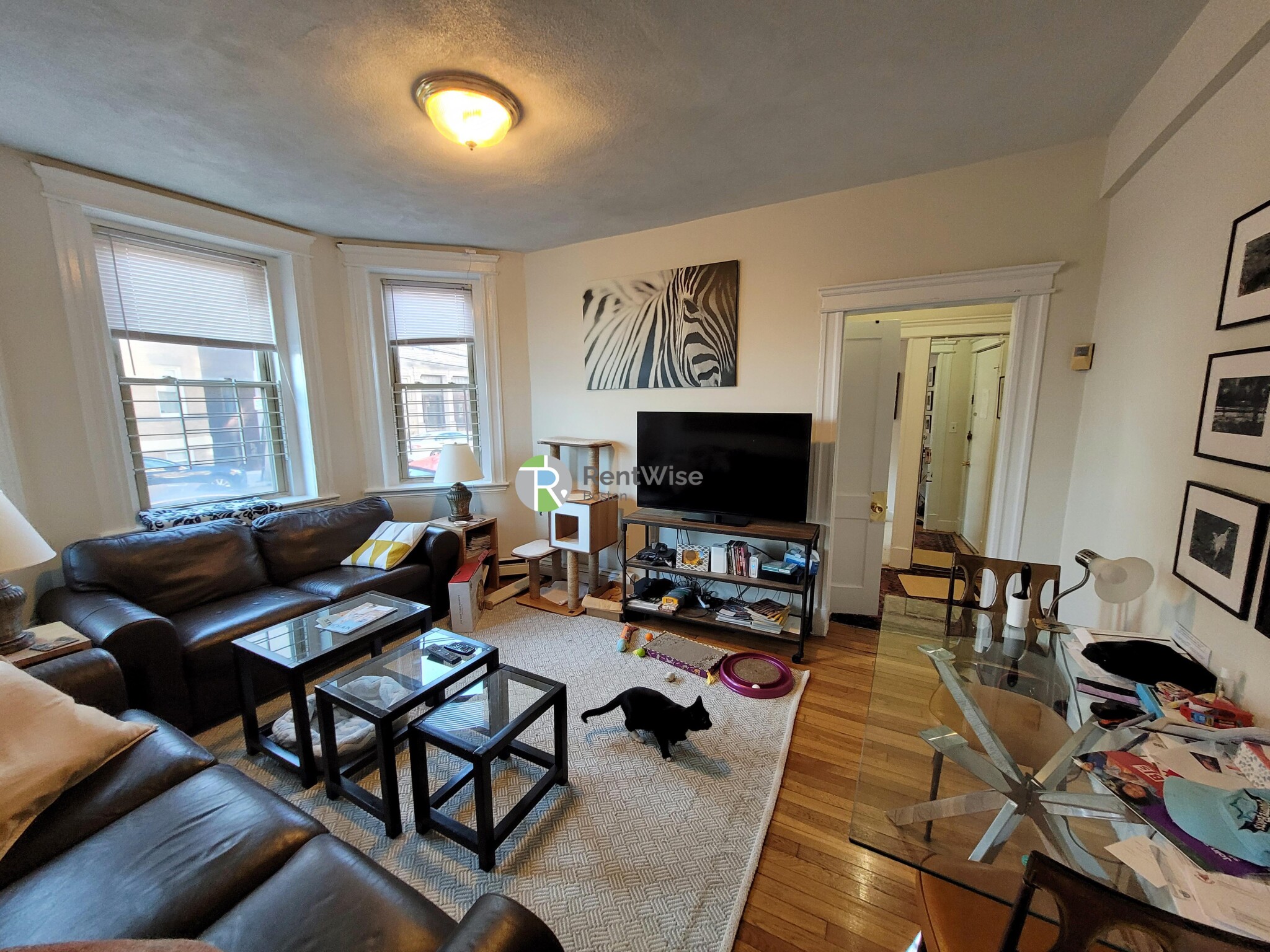 1 bed, 1 bath apartment for rent at 1677 Commonwealth Ave Unit 2, Brighton — photo 9 of 10