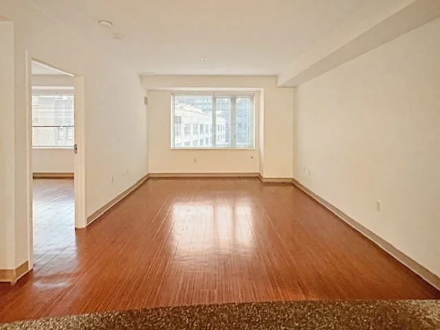 2 bed, 2 bath apartment for rent at 168 Brookline Ave Unit 1025, Fenway — photo 4 of 10