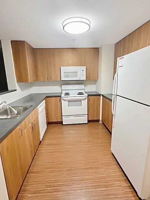 2 bed, 2 bath apartment for rent at 168 Brookline Ave Unit 1025, Fenway — photo 5 of 10