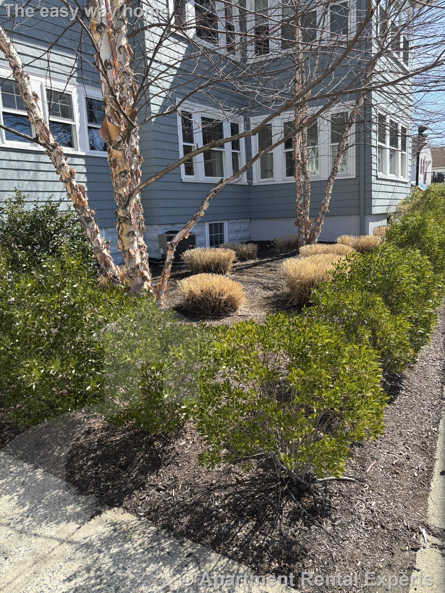 4 bed, 3 bath apartment for rent at 168 Forest St Unit 1, Medford Square — photo 51 of 54