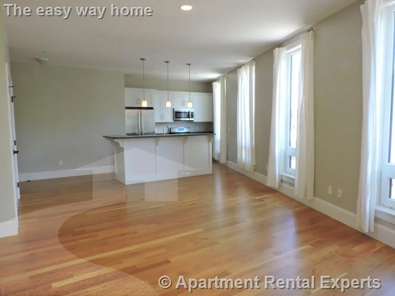 2 bed, 2 bath apartment for rent at 168 Hampshire Unit 3A, Central Square — photo 6 of 17