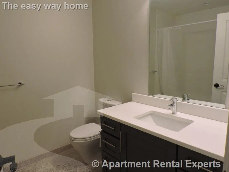 2 bed, 2 bath apartment for rent at 168 Hampshire Unit 3A, Central Square — photo 15 of 17