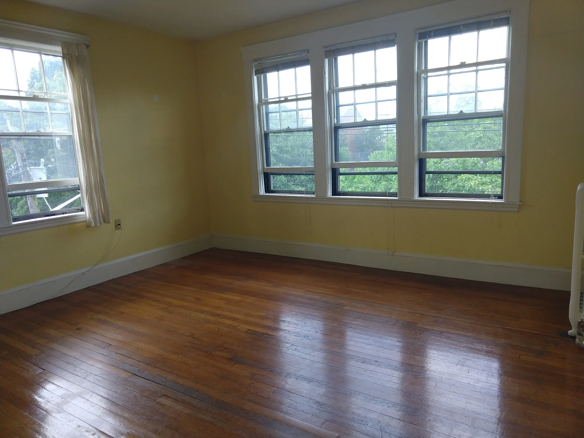 1 bed, 1 bath apartment for rent at 168 Norfolk St Unit 6, The Port — photo 7 of 8
