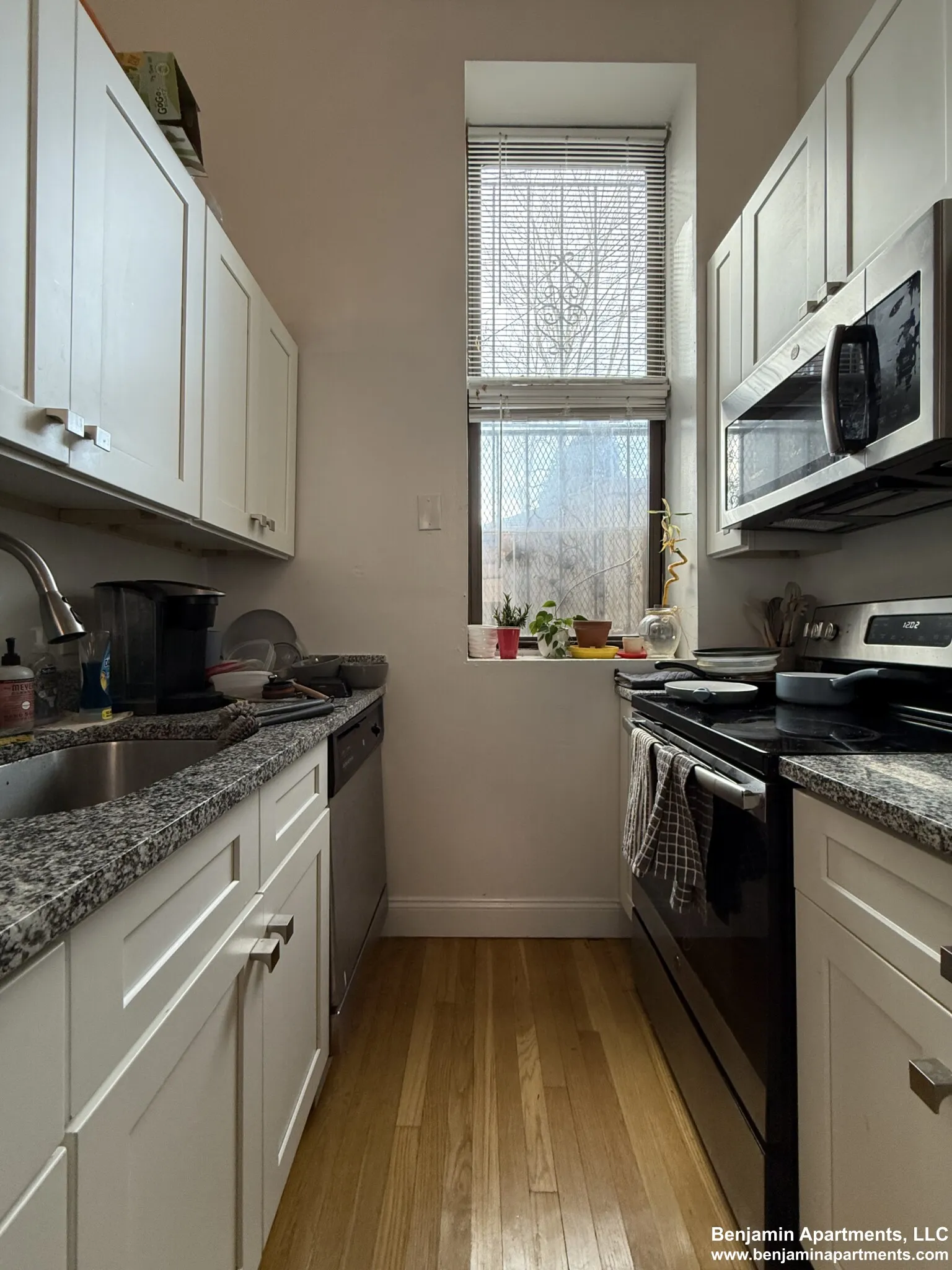 2 bed, 1 bath apartment for rent at 168 Northampton St Unit 1, Roxbury — photo 10 of 14