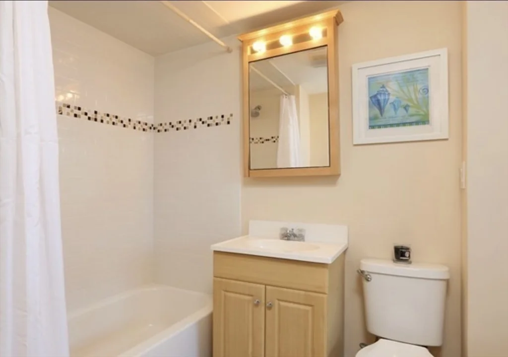 1 bed, 1 bath apartment for rent at 168 West Sixth St Unit 2, South Boston — photo 7 of 9