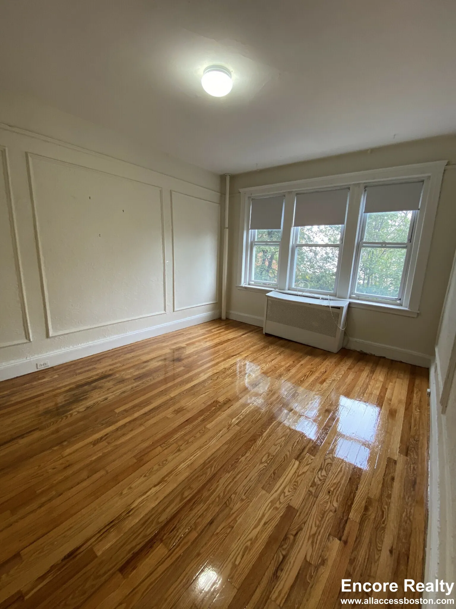 1 bed, 1 bath apartment for rent at 1687 Commonwealth Ave Unit 16, Brighton