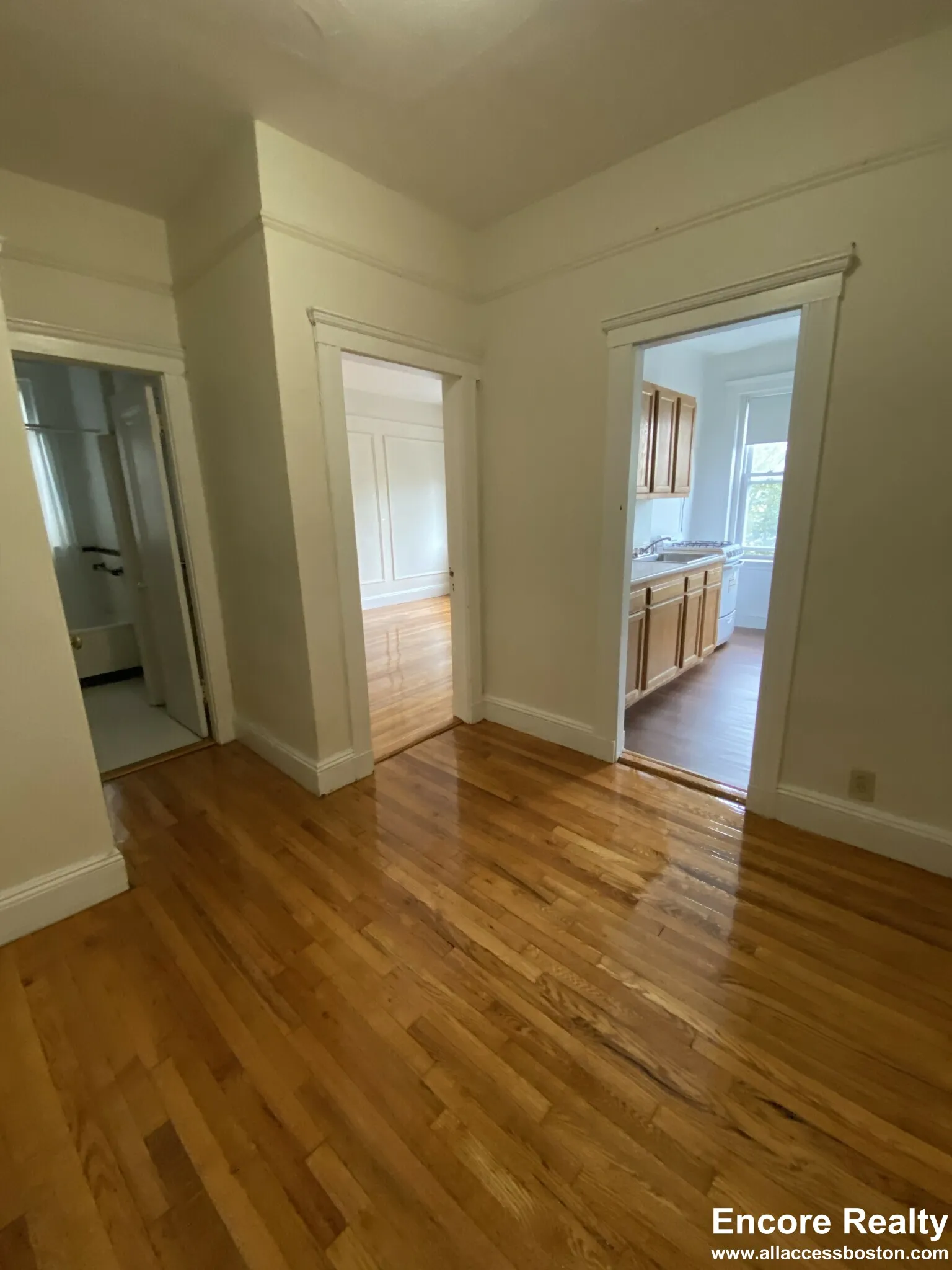 1 bed, 1 bath apartment for rent at 1687 Commonwealth Ave Unit 16, Brighton — photo 2 of 5