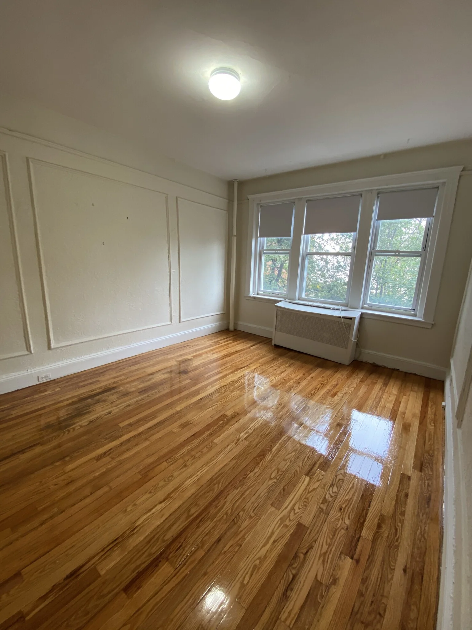 1 bed, 1 bath apartment for rent at 1687 Commonwealth Ave Unit 17E, Brighton — photo 3 of 5