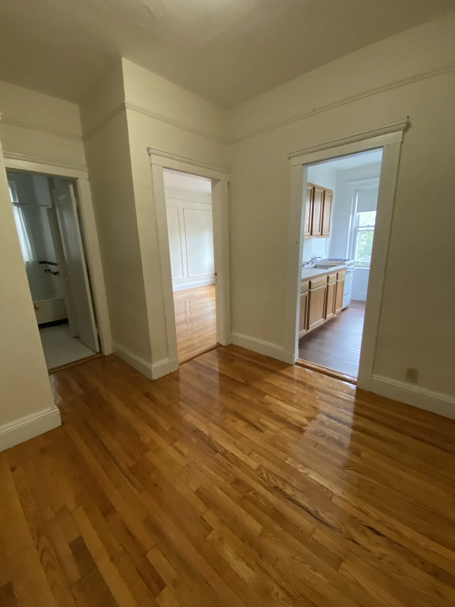 1 bed, 1 bath apartment for rent at 1687 Commonwealth Ave Unit 17E, Brighton — photo 2 of 5
