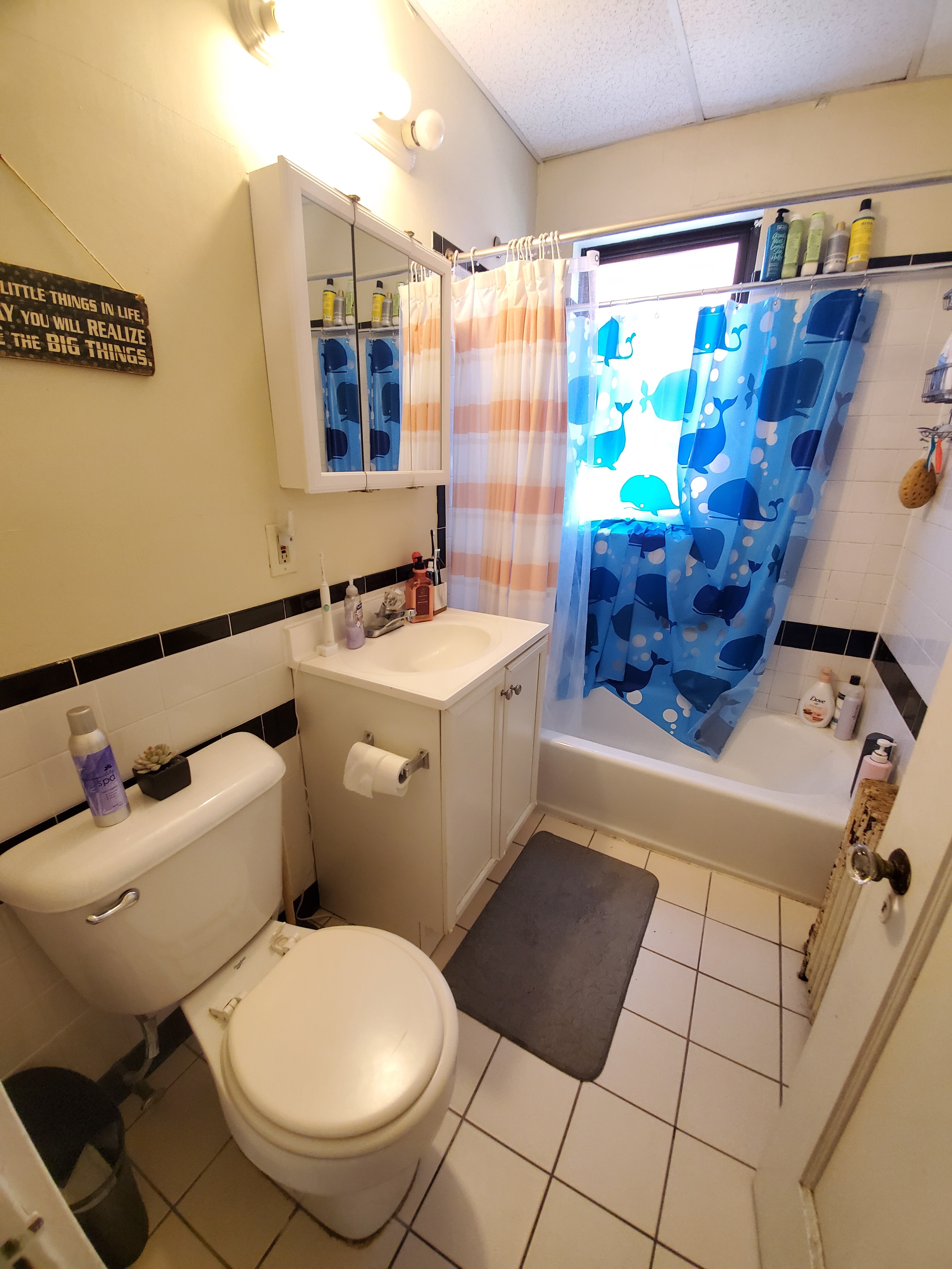 2 bed, 1 bath apartment for rent at 1688 Beacon St Unit 10, Brookline — photo 17 of 17