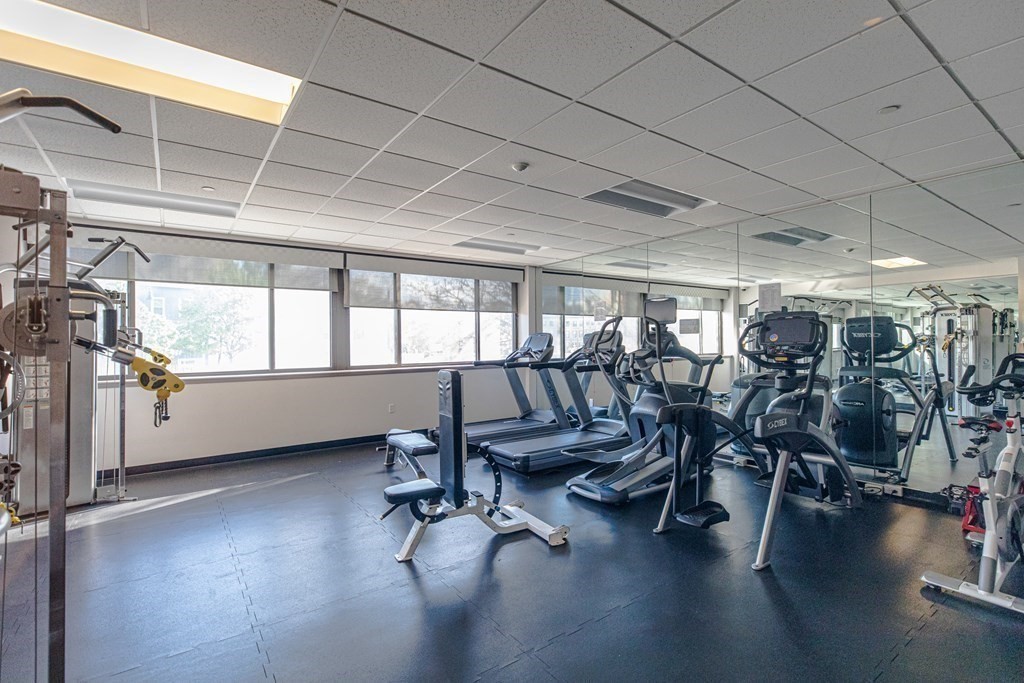 1 bed, 1 bath apartment for rent at 169 Monsignor O'brien Highway Unit 403, East Cambridge — photo 13 of 15