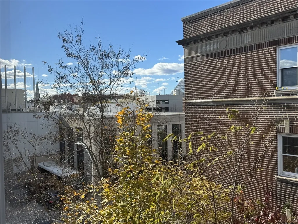 1 bed, 1 bath apartment for rent at 1691 Cambridge St Unit 42, Mid Cambridge — photo 9 of 17