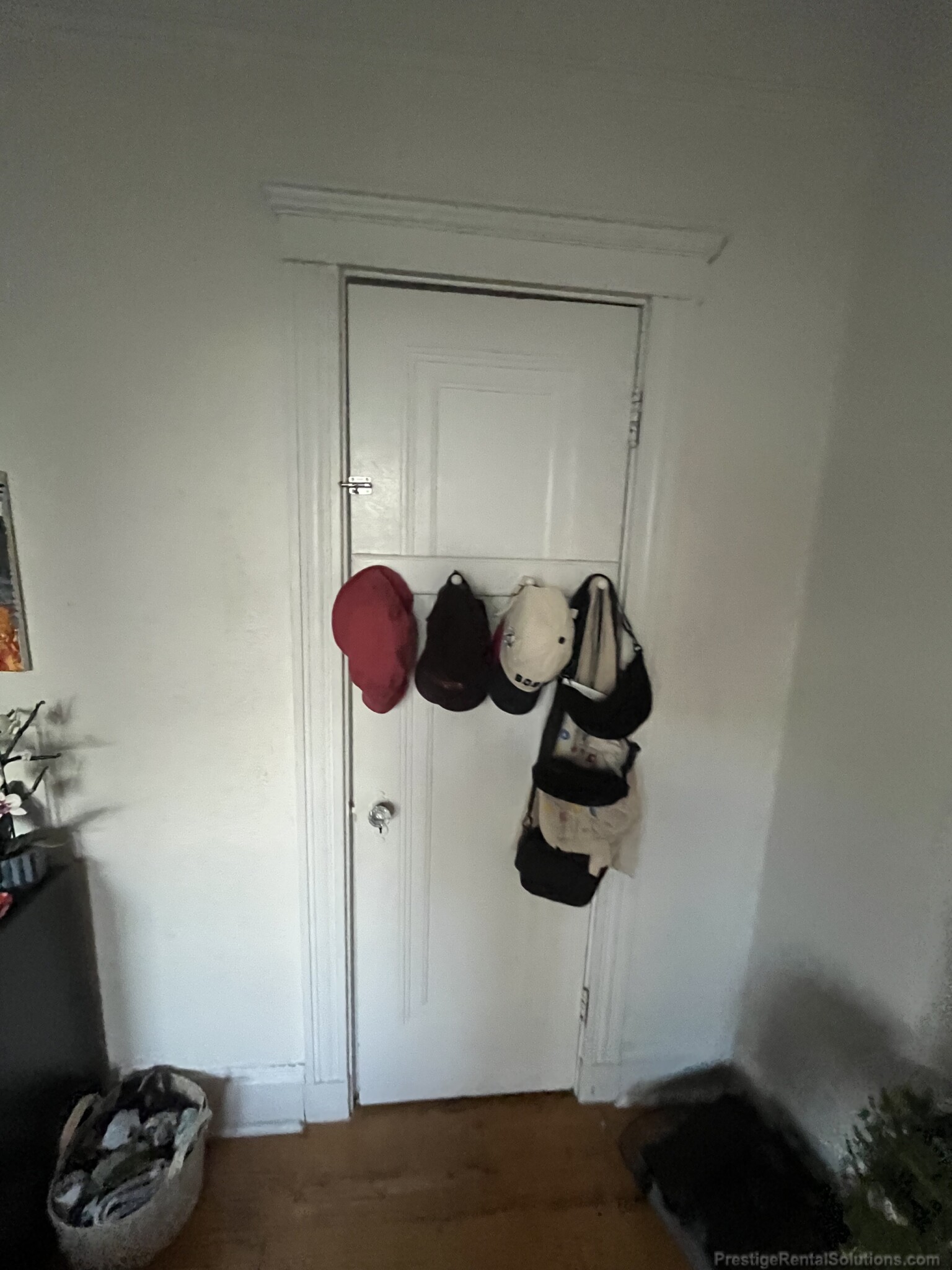 2 bed, 1 bath apartment for rent at 1691 Commonwealth Ave Unit 23, Brighton — photo 9 of 14