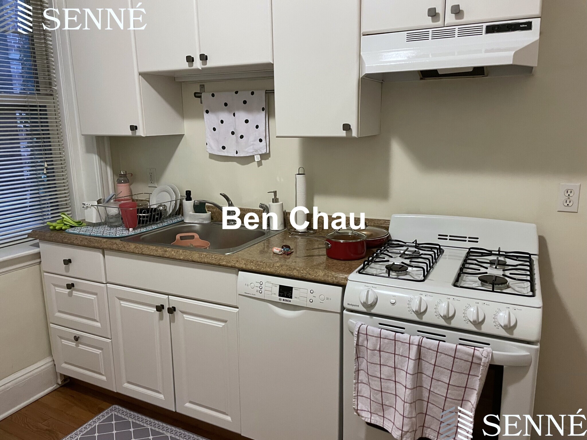 1 bed, 1 bath apartment for rent at 1697 Cambridge St Unit 3B, Mid Cambridge — photo 3 of 6