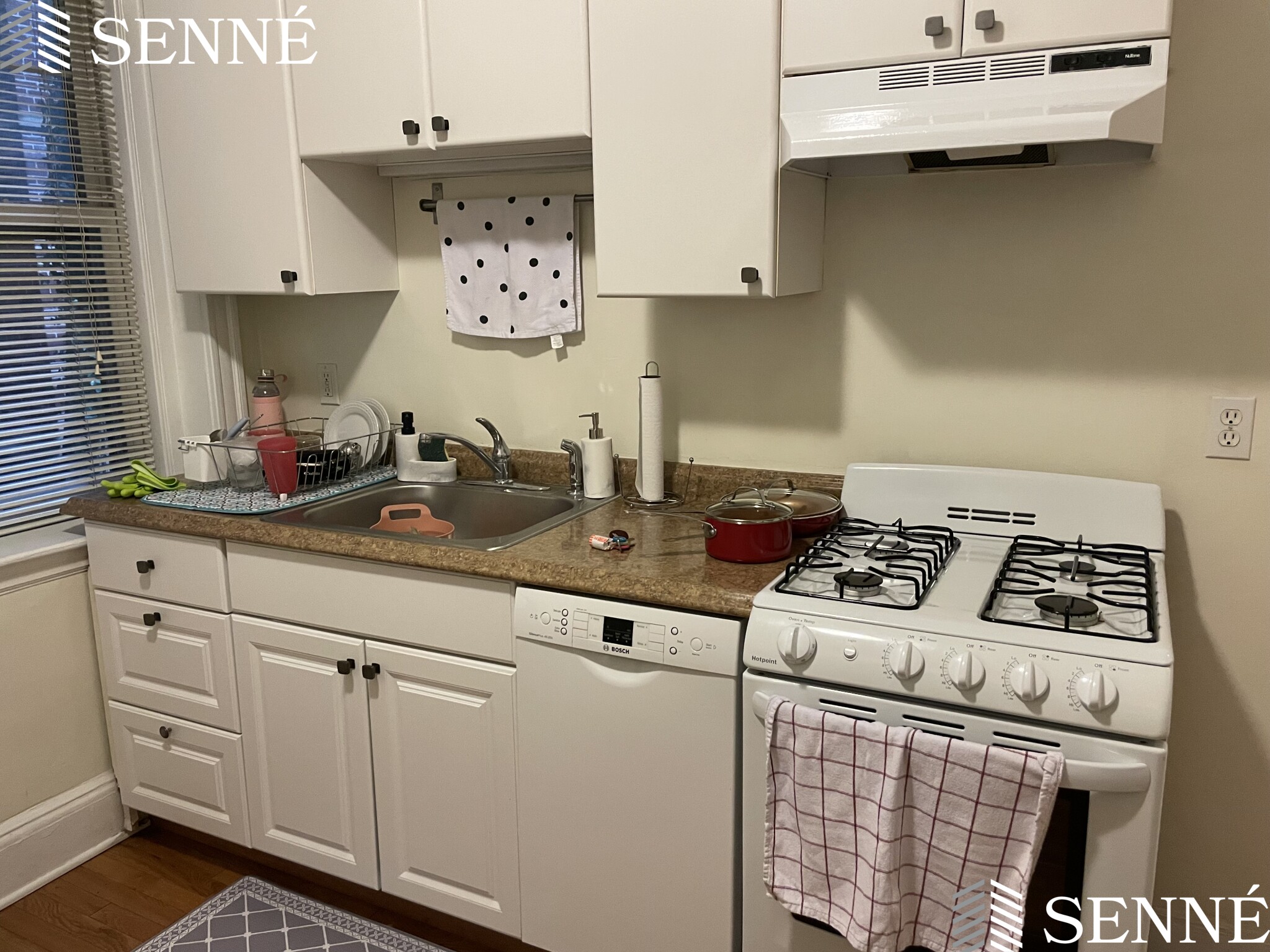 1 bed, 1 bath apartment for rent at 1697 Cambridge St Unit 4, Mid Cambridge — photo 1 of 8