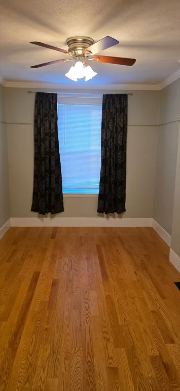 1 bed, 1 bath apartment for rent at 17-19 Bowditch St Unit 1, Peabody — photo 2 of 7