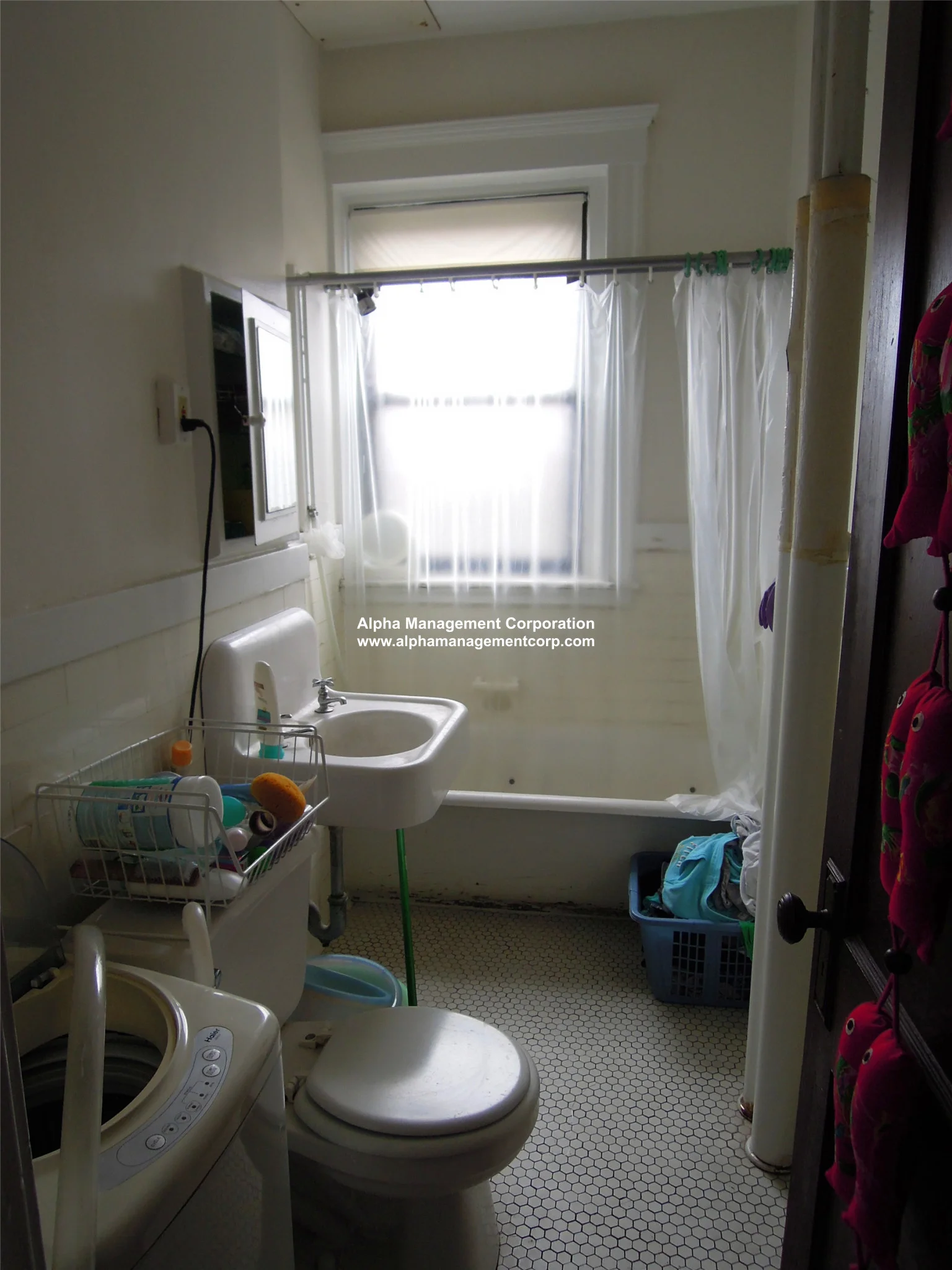 1 bed, 1 bath apartment for rent at 17-19 Washington Street South Unit 301, Malden — photo 8 of 10