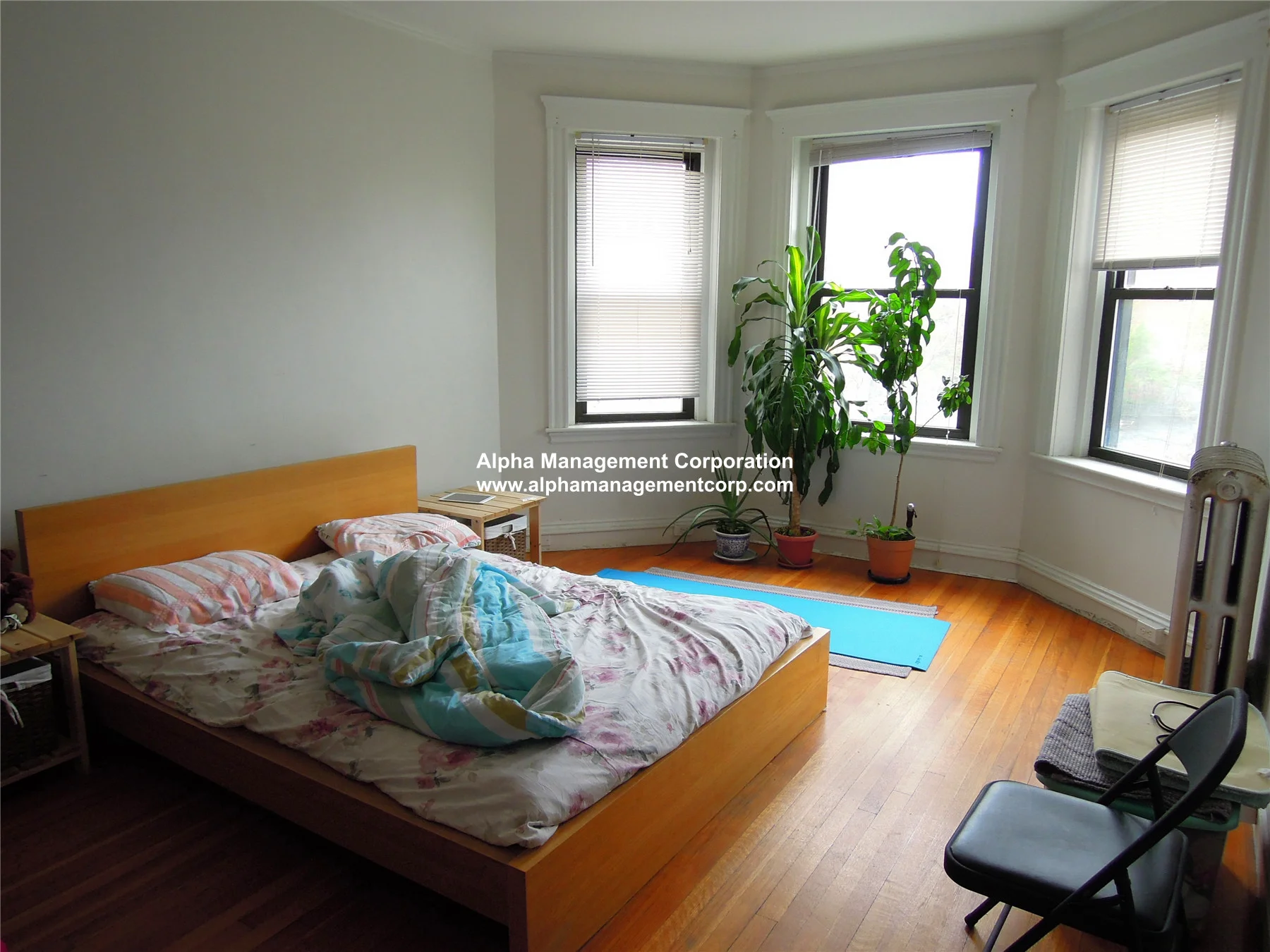 1 bed, 1 bath apartment for rent at 17-19 Washington Street South Unit 301, Malden — photo 5 of 10