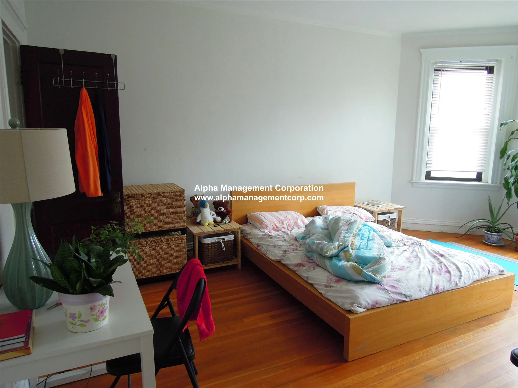 1 bed, 1 bath apartment for rent at 17-19 Washington Street South Unit 301, Malden — photo 4 of 10