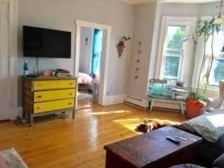 2 bed, 1 bath apartment for rent at 17 Ballard St Unit 2, Jamaica Plain — photo 2 of 12