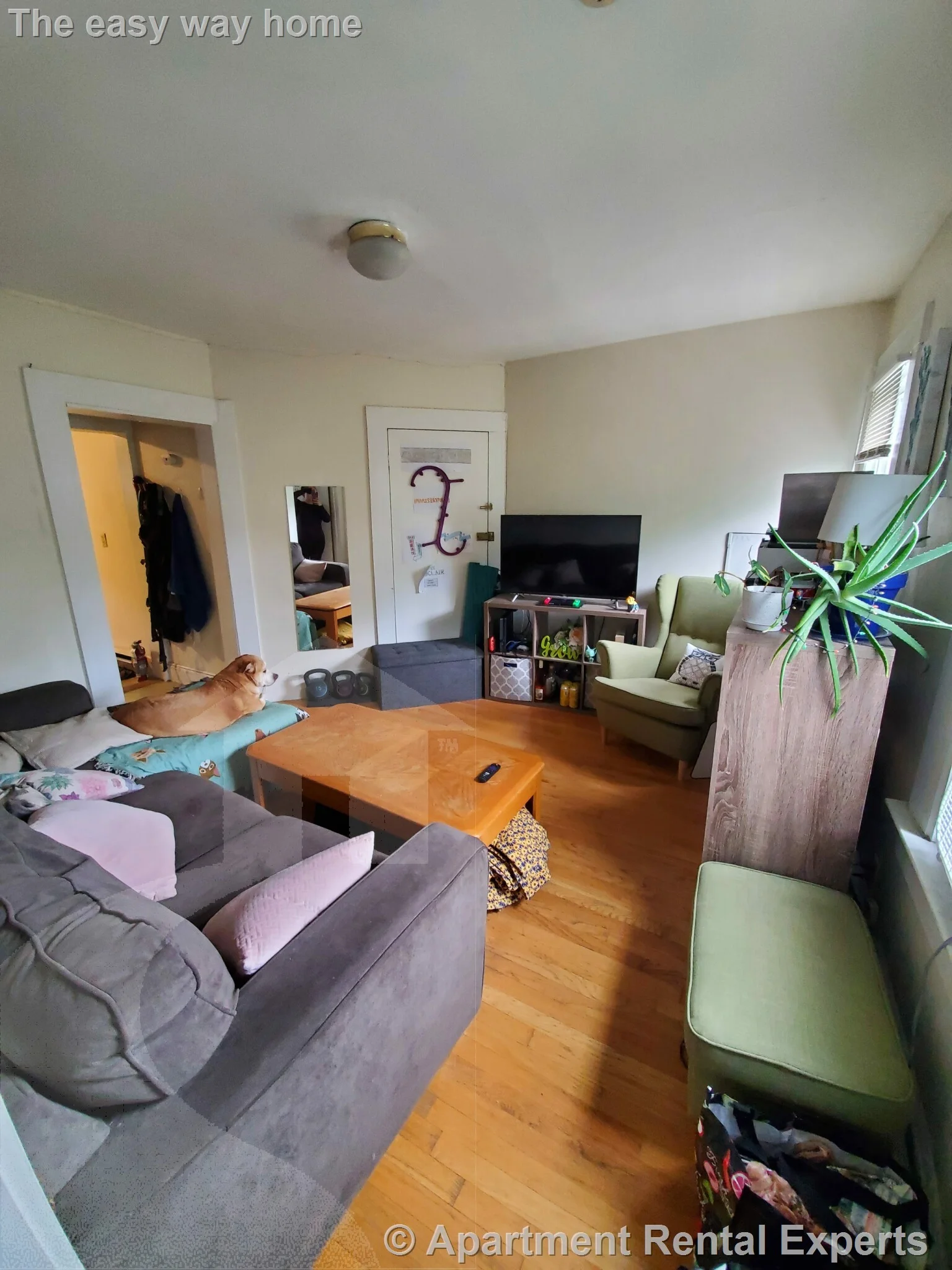 2 bed, 1 bath apartment for rent at 17 Bay St Unit 3L, Riverside — photo 7 of 11