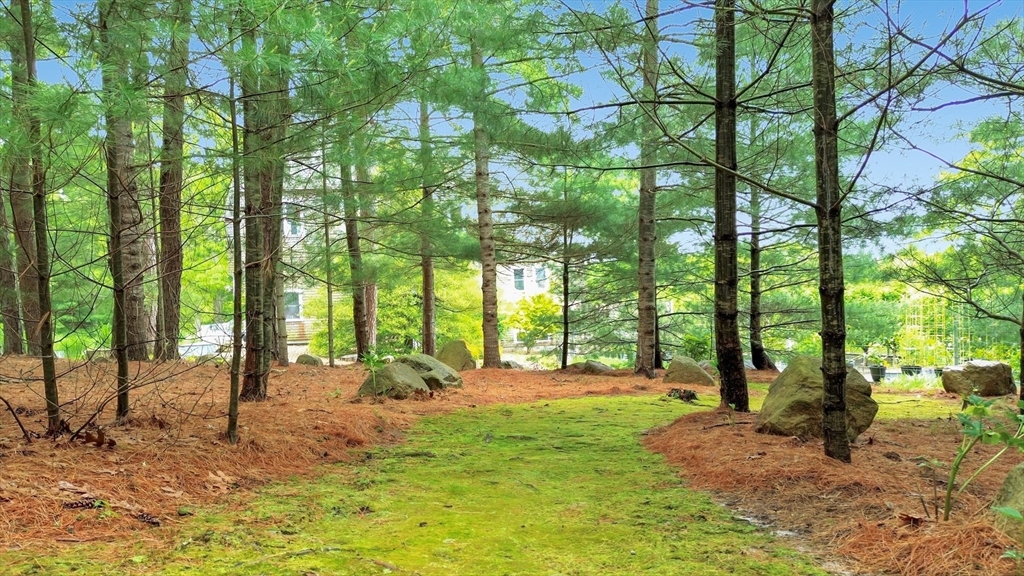 4 bed, 4+ bath apartment for rent at 17 Bourne Point Rd, Wareham — photo 37 of 42