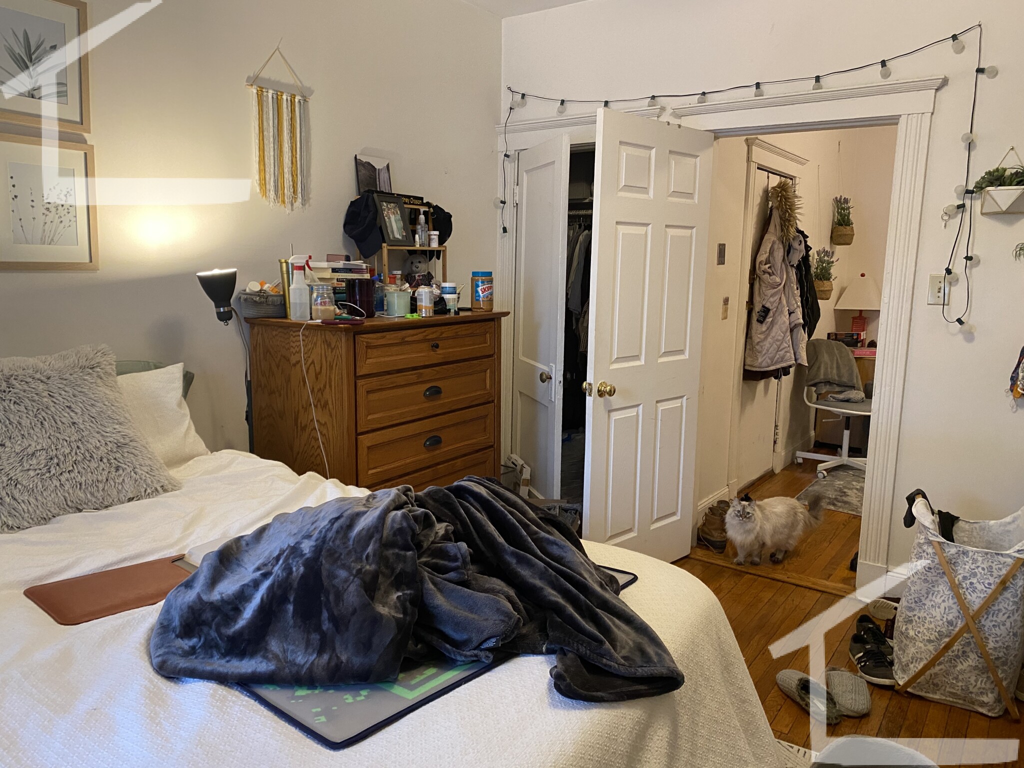 4 bed, 1 bath apartment for rent at 17 Cummings Rd Unit 2, Brighton — photo 9 of 16