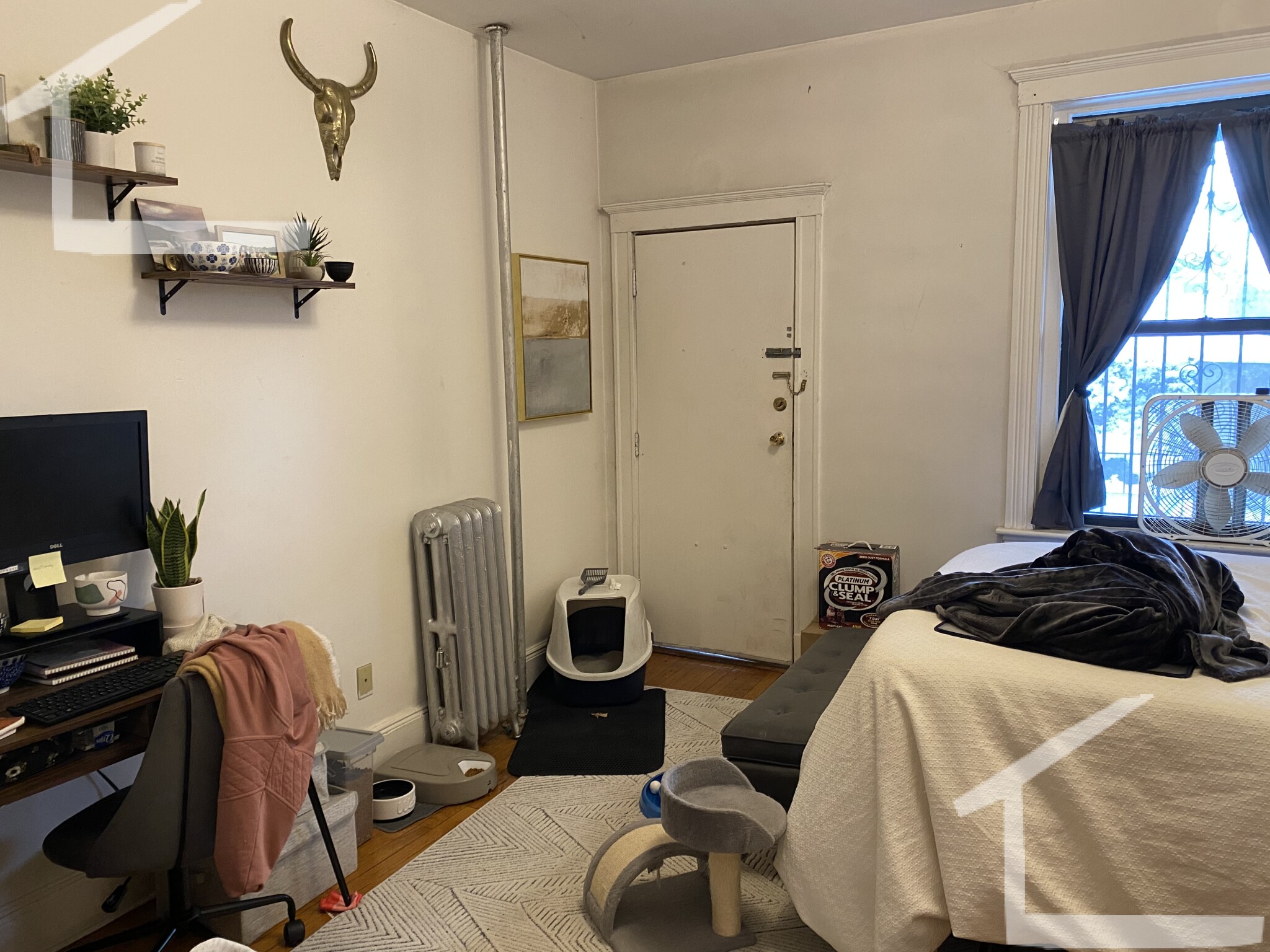 4 bed, 1 bath apartment for rent at 17 Cummings Rd Unit 2, Brighton — photo 8 of 16