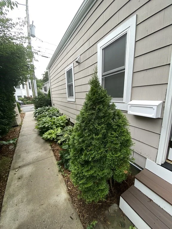 1 bed, 1 bath apartment for rent at 17 Eastburn St Unit Side, Brighton — photo 3 of 3